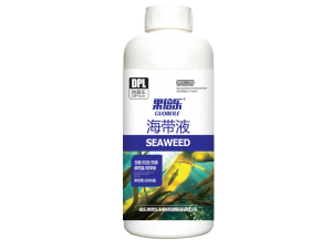 1月最高温冲至20℃武汉一公园樱花开了与梅花同框斗丽